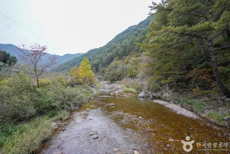 고선계곡(구마계곡)