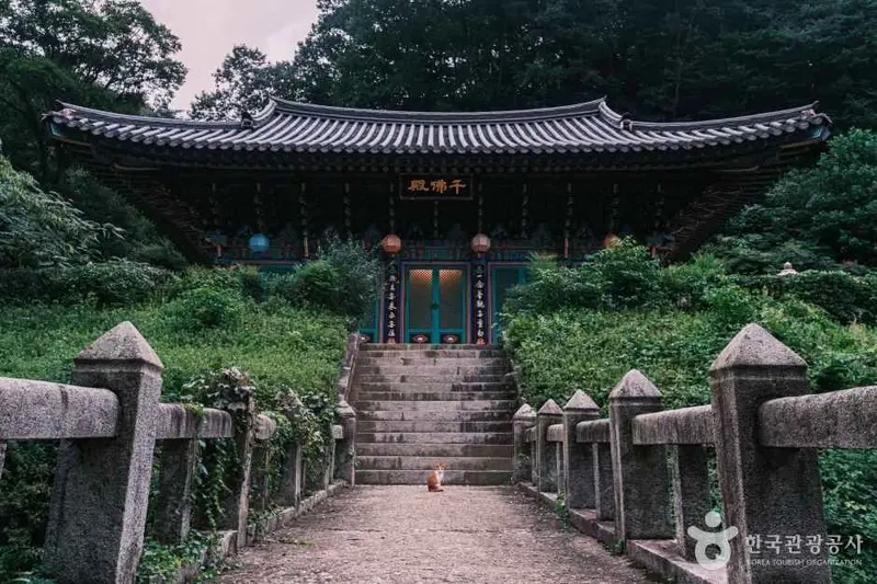 광덕사(천안)