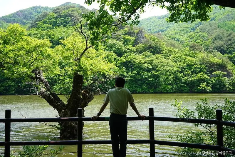주산지(청송 국가지질공원)