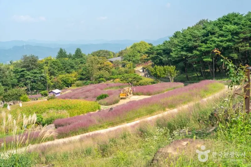 가산수피아