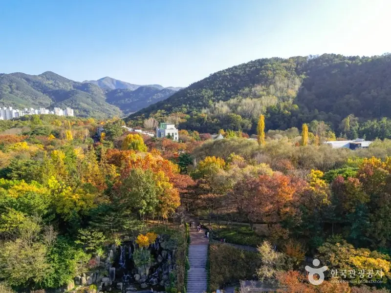대구두류공원