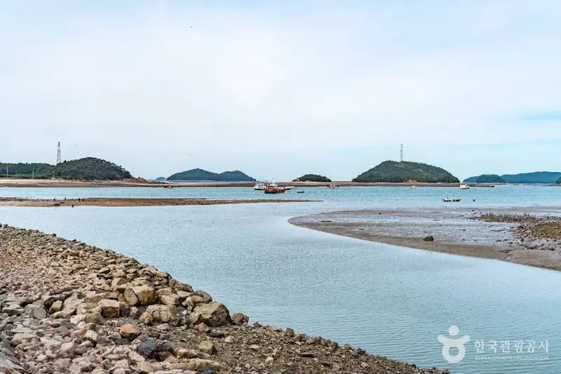도비도항
