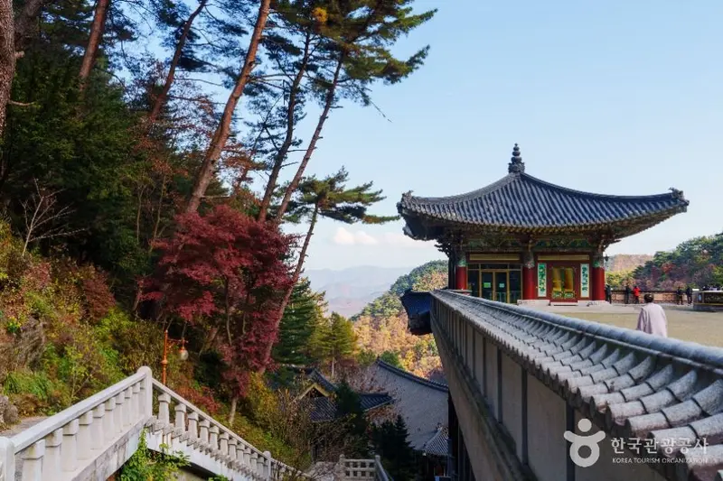 구인사(단양)
