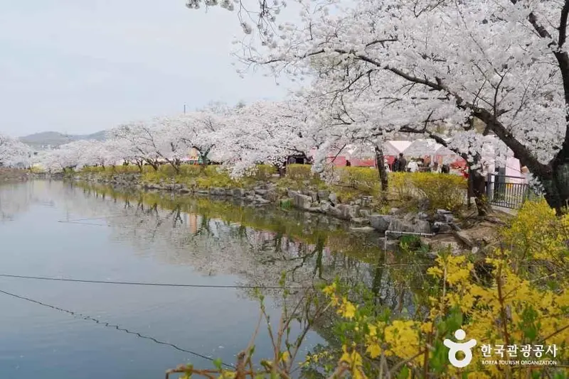 교동 연화지