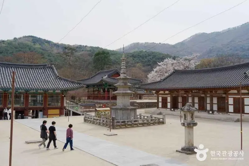 직지사