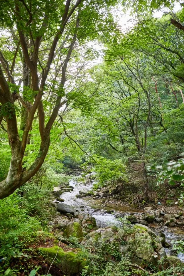 모악산도립공원