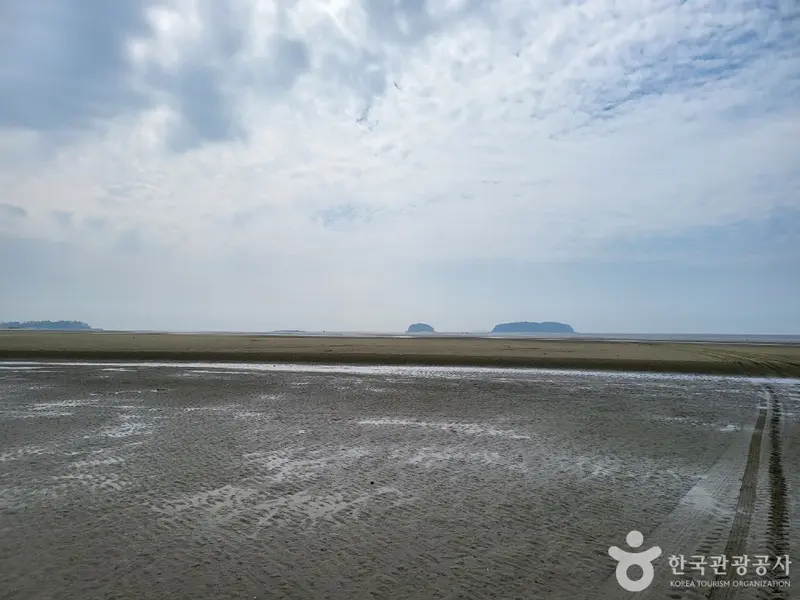 고창갯벌