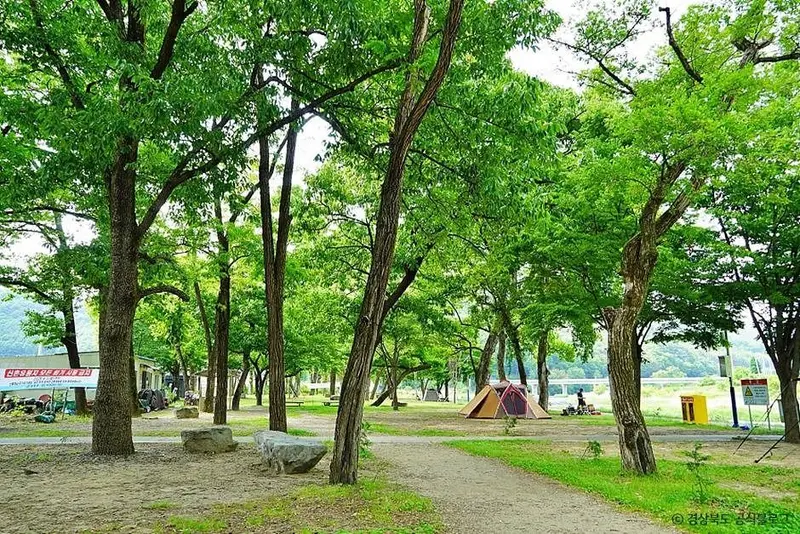 고령 신촌숲