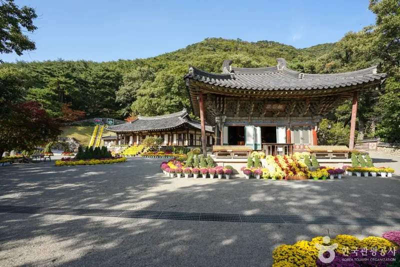 도리사(구미)