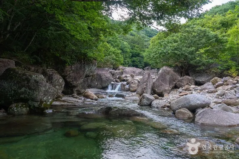 피아골계곡