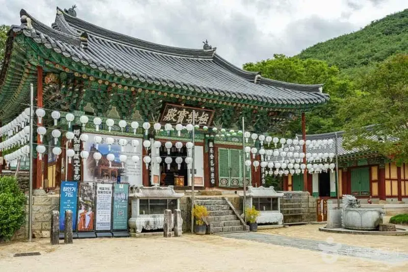 천은사(구례)