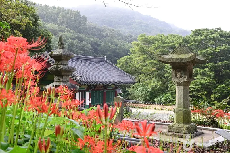 용천사(함평)