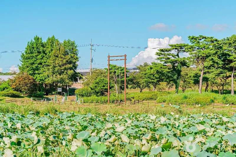 달맞이공원