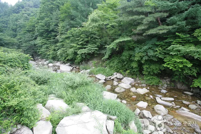 용추자연휴양림