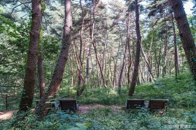 오도산자연휴양림