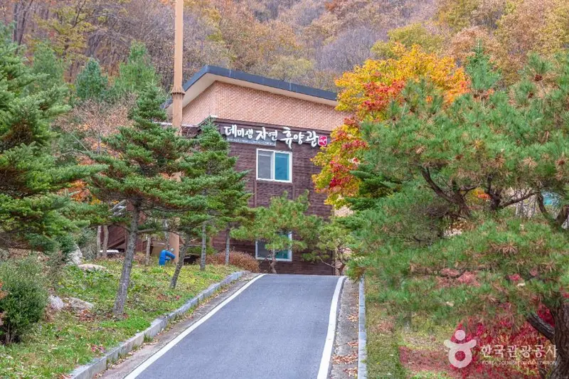 데미샘자연휴양림