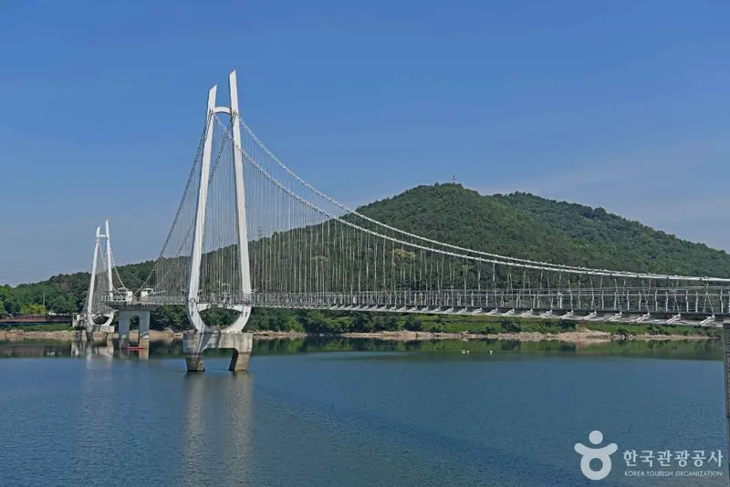 논산 탑정호 출렁다리