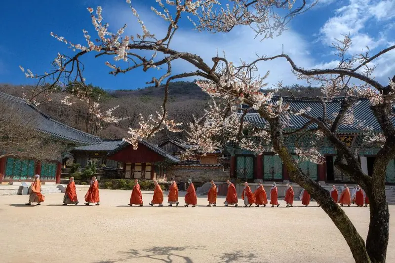 송광사(순천)