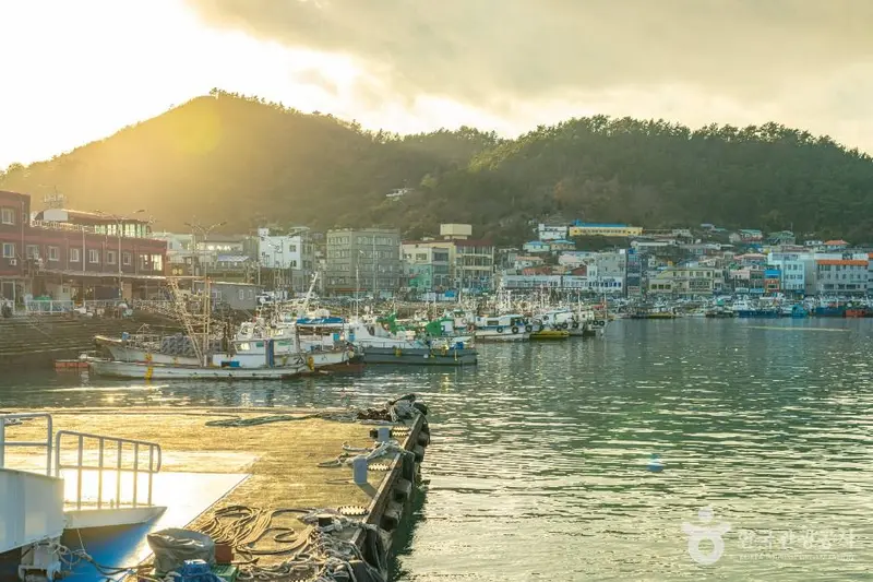 완도항