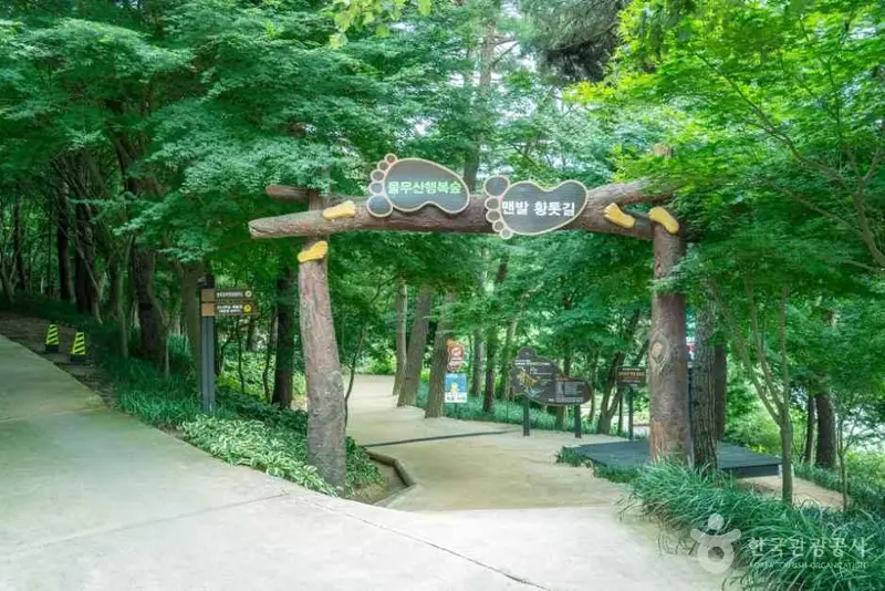 물무산 행복숲