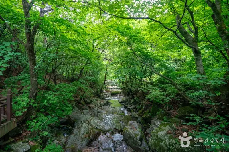 죽계구곡